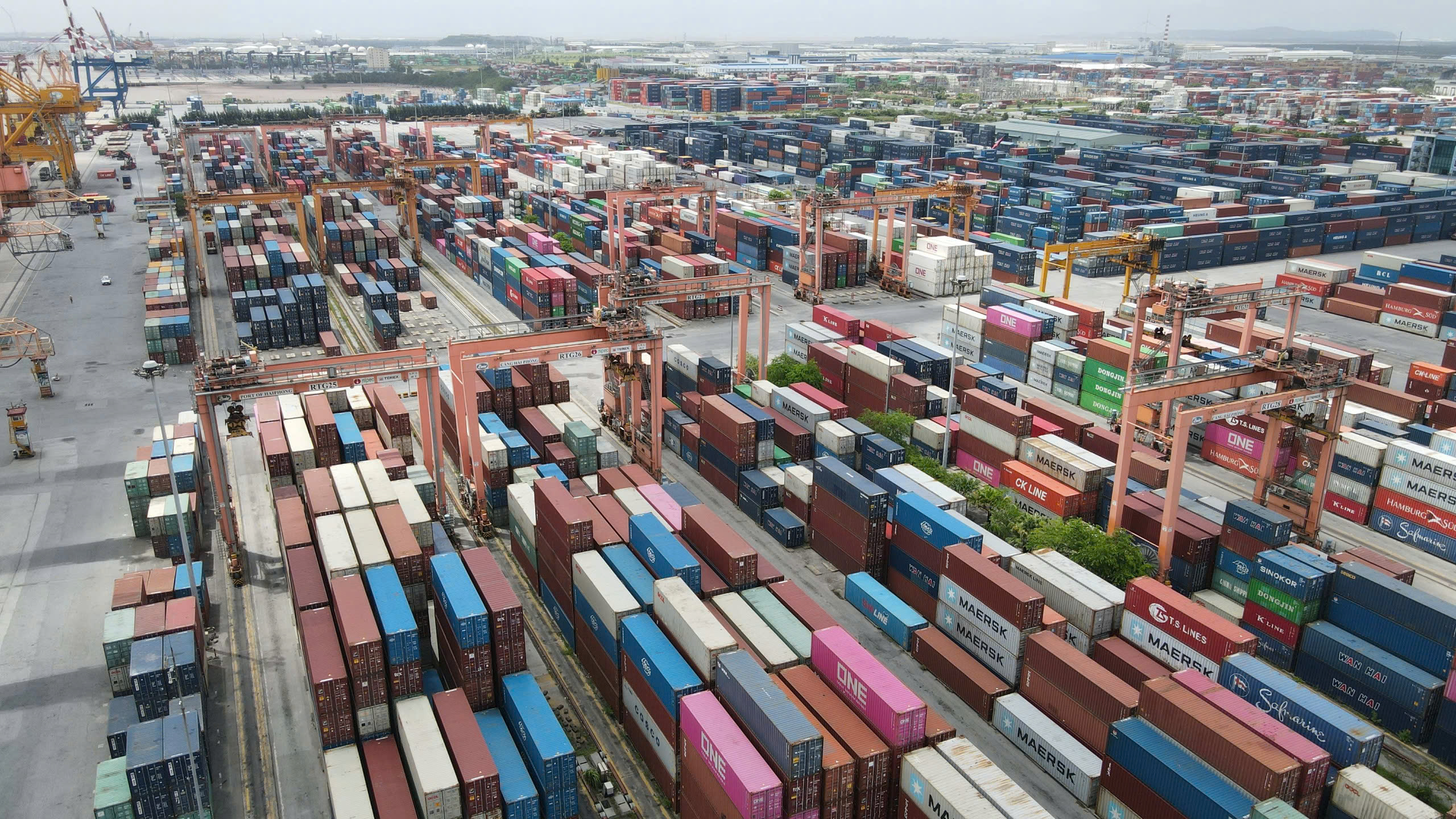 VN trong bức tranh kinh tế châu Á - Thái Bình Dương - Ảnh 2.