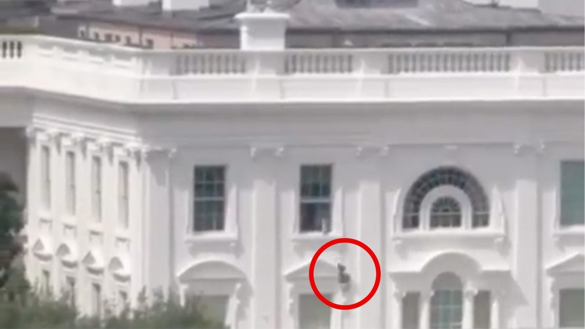 Tổng thống Trump phản ứng về video chiếc túi đen bí ẩn ném ra từ Nhà Trắng - Ảnh 1. Tổng thống Trump phản ứng về video chiếc túi đen bí ẩn ném ra từ Nhà Trắng - Ảnh 1.
